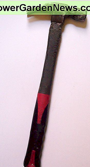 Hammer Image Hammer Image