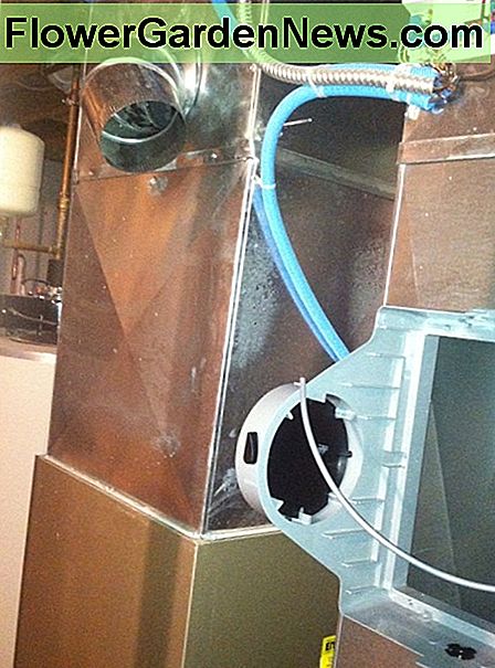Afgangen er installeret øverst til venstre i dette billede. Bemærk, hvordan det er over spolen og vender mod befugterhuset. The take off is installed at the top left in this photo. Notice how it's above the coil and facing the humidifier casing.