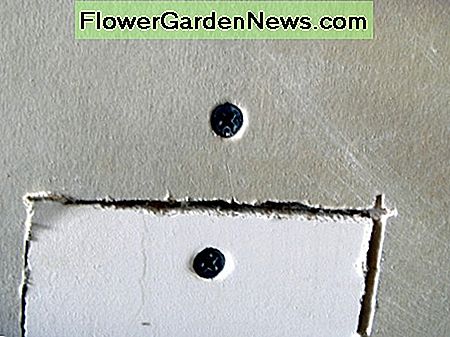 Close-up van de schroeven, waardoor ze net iets in de gipsplaat zonk. Closeup of the screws, showing them sunk just slightly into the drywall.
