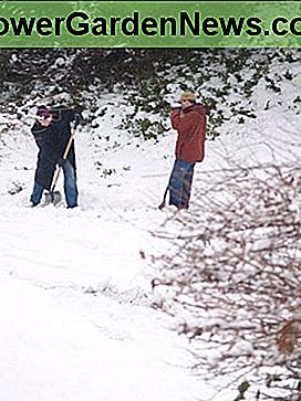 Mein Mann und Schwager graben nach einem Schneesturm My husband and brother-in-law digging out after a snowstorm