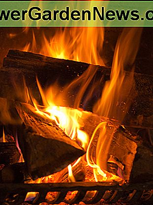 Bildnachweis: Dlvv | Dreamstime.com image credit: Dlvv | Dreamstime.com