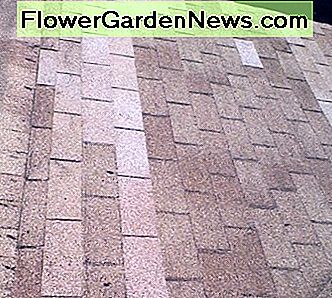 Færdig reparationsjob. De nye helvedesild er en smule lysere, men er ikke forvitret endnu, men det er ikke uhensigtsmæssigt. Finished repair job. The new shingles are slightly lighter in color, not being weathered yet, but it is not objectionable.