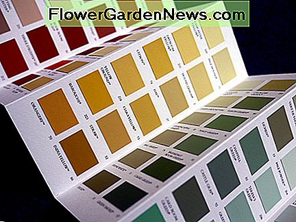 Verfmonsters zijn een geweldige manier om uw verbeelding te laten stralen. Paint swatches are a great way to spark your imagination.