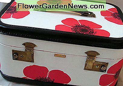 Kleine Kofferverjüngungskur Small suitcase makeover