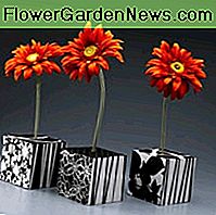 Dekorative Blockblumen Decorative block flowers