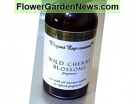 Dieses konzentrierte Duftöl von Elegant Expressions eignet sich gut als Lufterfrischer-Nachfüllpackung und ist bei Walmart für 2-3 $ pro 2-oz-Flasche erhältlich. This Elegant Expressions concentrated fragrance oil works well as an air freshener refill and is available at Walmart for $2-3 per 2-oz bottle.