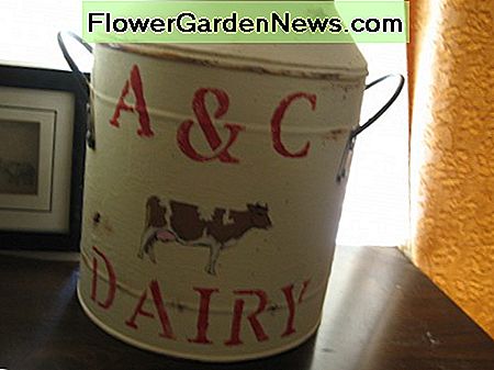 Kreidefarbe haftet auf praktisch jeder Oberfläche, einschließlich dieses Metallmilcheimers. Chalk paint sticks to practically any surface, including this metal milk pail.
