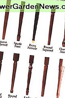 Bein Identifikation Leg Identification