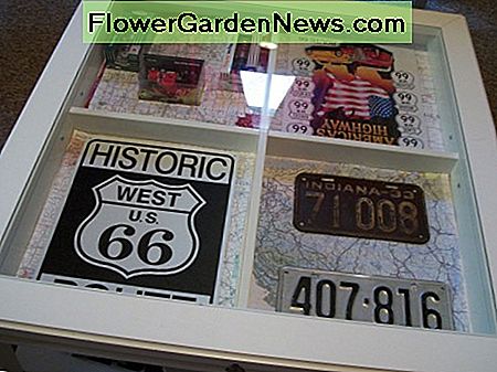 Mijn dochter plaatste vintage tinnen borden, kentekenplaten en andere memorabilia in haar salontafel in de schaduwkist voor een interessant display. My daughter placed vintage tin signs, license plates, and other memorabilia in her shadow-box coffee table for an interesting display.