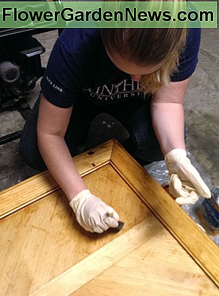 Hier lege ich die erste Fleckschicht auf! Es ist in Ordnung, wenn der erste Fleck ein wenig dick ist. here I am apply the first layer of stain! it's ok for the first stain to be a little thick.