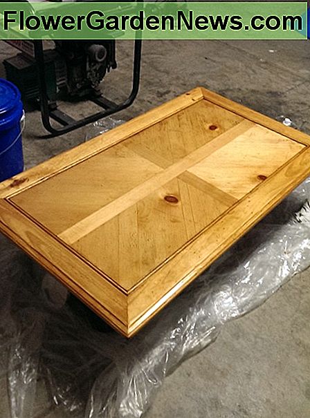 die erste Schicht Fleck ist wirklich nett! aber ich will es dunkler ... the first layer of stain is really nice! but, I want it darker...