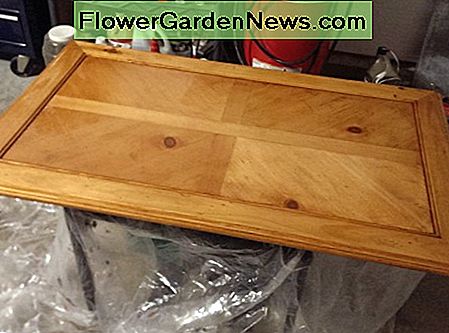 die zweite Schicht des Flecks! macht den Tisch ein wenig dunkler, aber immer noch nicht die Farbe, die ich will. Nach dem Schleifen, Zeit, eine dritte Schicht hinzuzufügen! the second layer of stain! makes the table a little darker, but still not the color I want. After sanding, time to add a third coat!