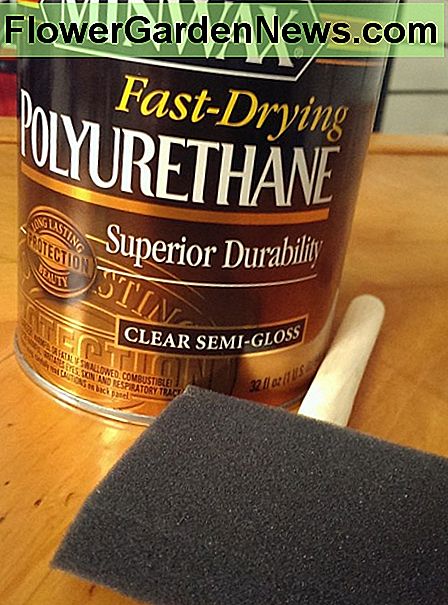 die Bürste aus Polyurethan und Schaum für den letzten Anstrich. the polyurethane and foam brush for the final coat.