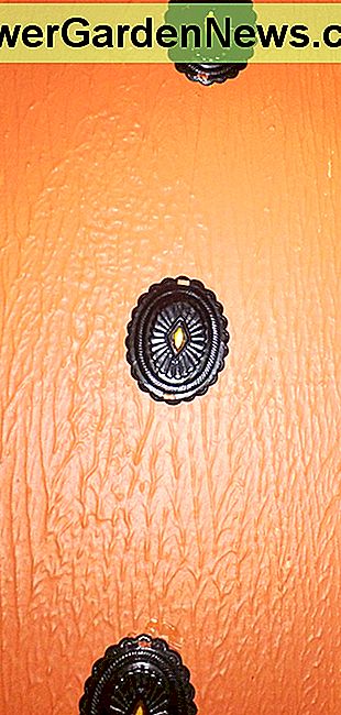 Zurückgewonnene Conchos werden zur Wandkunst. Reclaimed conchos become wall art.