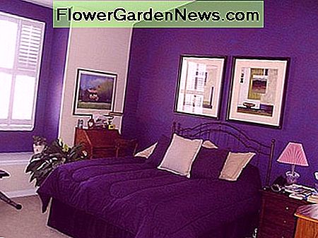 Dies ist eine gute Möglichkeit, es zu benutzen, wenn Sie ein lila Liebhaber sind und Sie haben keine Angst, es zu präsentieren. This is a great way to use it if you are a purple lover and you are not afraid to flaunt it.