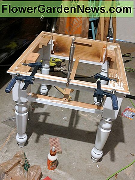 Naudodamiesi spaustukais ir medžio klijais, stalą grąžinau kartu ir palieku saulėje, kad vėl išdžiūtų stalviršį. Using clamps and wood glue, I put the table back together and left in the sun to dry before reattaching the table top.