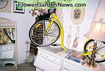Das Kickbike auf Zwillingskönignacht steht. The Kickbike atop twin king night stands.