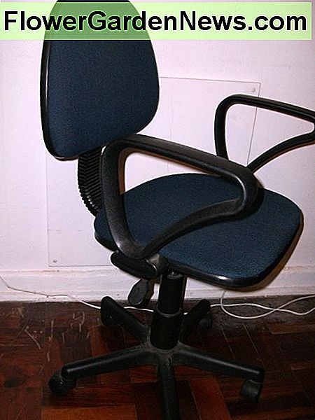 Tipiška mašinisto kėdė. A typical typist's chair.