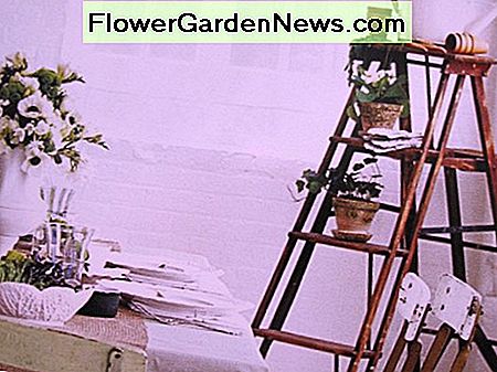 Alte Trittleiter stellte Betriebsstand ein. Old step ladder turned plant stand.