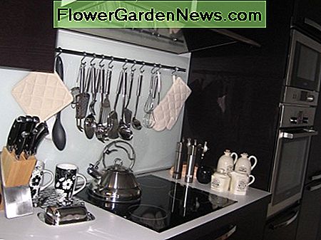 Jūsų virtuvė neturi būti blogų kvapų šaltinis. Your kitchen doesn't have to be a source of bad smells.