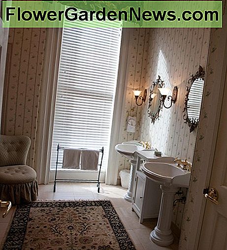 Jūs išleidote toną pinigų dekoravimo jūsų vonios kambarys, žinoma, jūs norite, kad jis kvapas taip gerai, kaip atrodo! You've spent a ton of money decorating your bathroom, naturally you'll want it to smell as good as it looks!