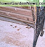 Schauen Sie genau hin und sehen Sie den Rost auf dem Gusseisen und dem verfärbten Holz Look closely and see the rust on the cast iron and the discolored wood