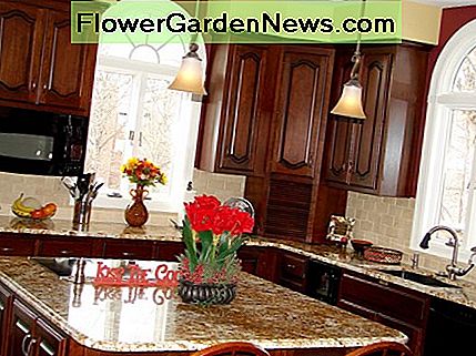 Blumen verleihen einer Küche viel Persönlichkeit. Zeigt auch angebrachtes Mikrowellen- und Eckcubby, um unansehnliche Geräte zu verstecken. Flowers add a lot of personality to a kitchen. Also shows mounted microwave and corner cubby to hide unsightly appliances.