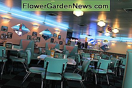 Ein reizendes Retro Restaurant nahe Graceland in Memphis, Tennessee. Beachten Sie die Neonlichter und die Farbpalette. A lovely retro diner near Graceland in Memphis, Tennessee. Note the neon lights and the color palette.