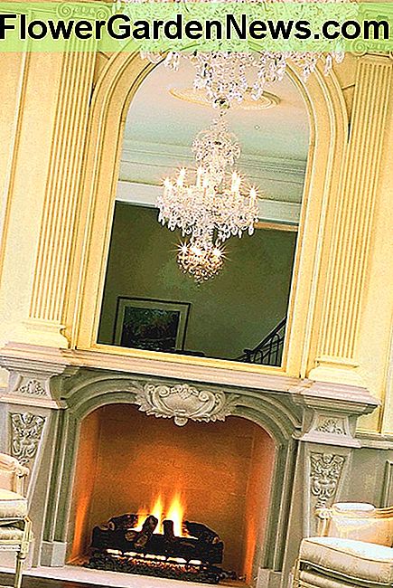 Barock Kamin Kaminsims Baroque Style Fireplace Mantel