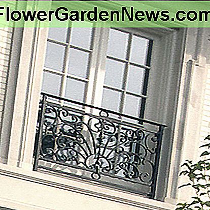 Barock Fensterwächter Baroque Style Window Guard