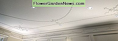 Georgian Style Plaster-Moulding Verzierte Decke Georgian Style Plaster-Molding Decorated Ceiling