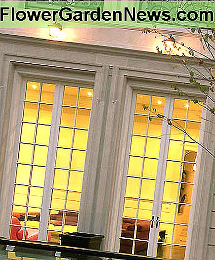 12 'Hohe wahre französische Türen 12' Tall True French Doors