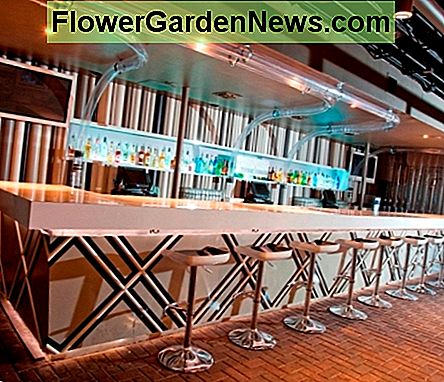 Diseño de interiores comerciales. . . un bar en Houston Commercial interior design . . . a bar in Houston