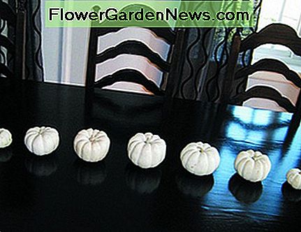 Šis moliūgų centre yra puikus progresavimo pavyzdys. This pumpkin centerpiece is a perfect example of progression.