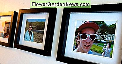 Los grupos unificados son mejores con imágenes, colores y marcos similares. Unified groupings are best with similar images, colors and frames.
