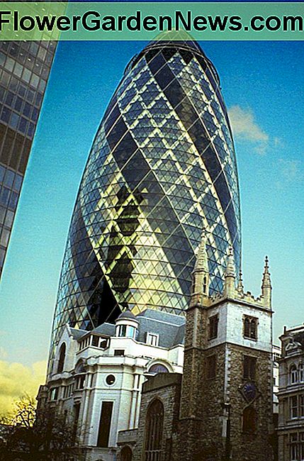 อาคาร St. Mary Axe Street ในนอร์แมนฟอสเตอร์ 30 แห่งในลอนดอน Norman Foster's 30 St. Mary Axe in London
