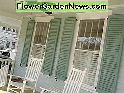 Rūsio sklendės Teal Shutters