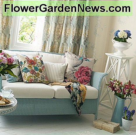 Gėlių gudrybė su šviesiai mėlyna pinti, balti pagalvėlės ir gėlių akcentai. Floral chic with light blue wicker, white cushions, and floral accents.