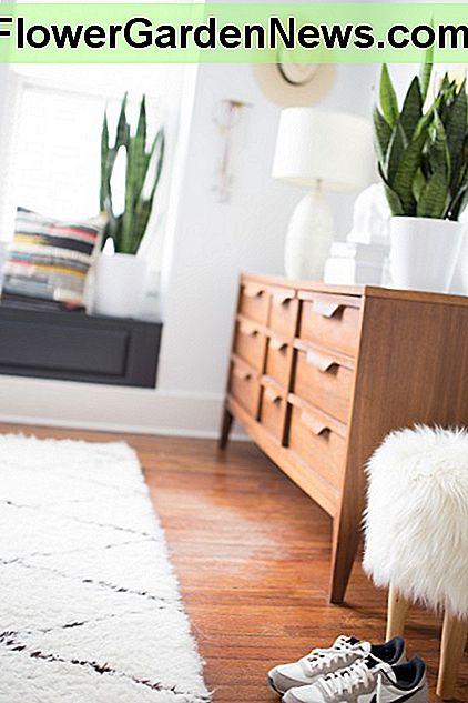 Augalai prideda vizualų susidomėjimą ir gylį, tuo pačiu išlaikant kambarį šviežią ir kviečiančią. Plants add visual interest and depth while keeping a room fresh and inviting.