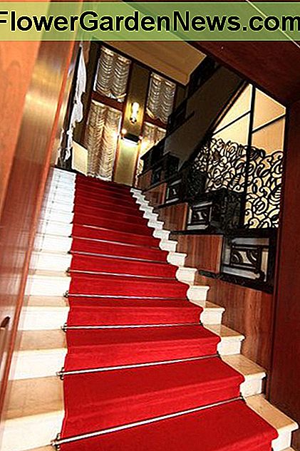 Šiuose laipteliuose yra keletas populiariausių This staircase includes some of the most popular Art Deco colors and finishes.