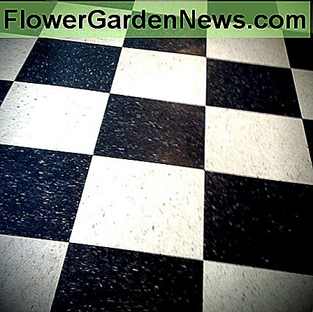 Dekoratyvinio linoleumo šekerių grindų danga. Deco-style linoleum checkerboard floor.