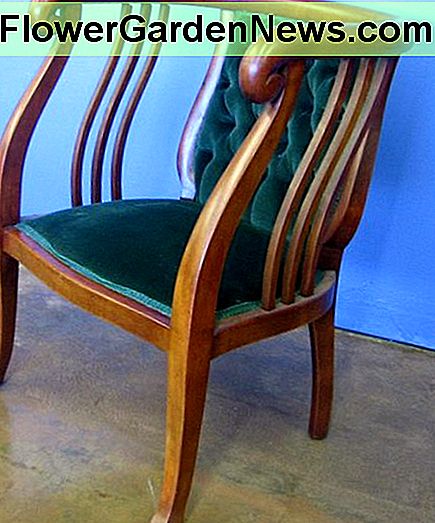 Art Deco kėdė, aptraukta aksom. Art Deco chair upholstered in velvet.