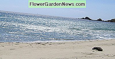 Erinnern Sie sich an die Empfindungen, am Strand entlang zu laufen, während Sie über Ihr Küstengestaltungsprojekt nachdenken. Remember the sensations of walking along the beach as you contemplate your coastal decorating project.