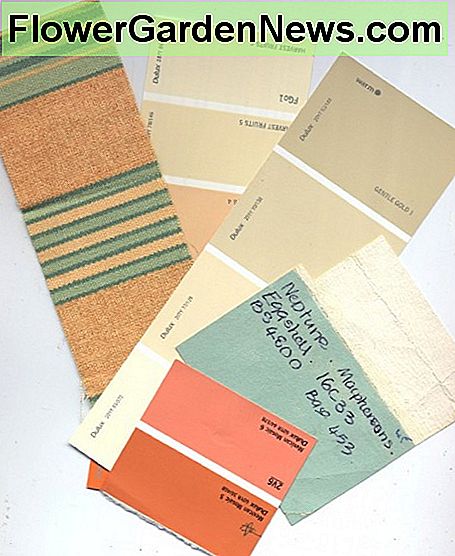 Dažų ir audinių pavyzdžiai Paint and fabric samples