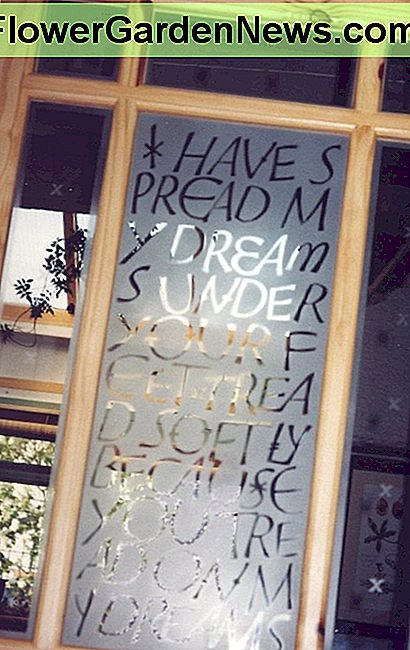 Purškiamas grūdintas stiklas. Nuotraukos autorius Spray etched door glass. Photograph by author