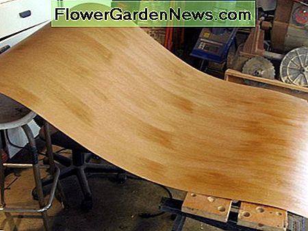 Das Furnier wurde mit Kontaktkleber gestrichen und zum Trocknen beiseite gelegt The veneer was painted with contact cement and set aside to dry