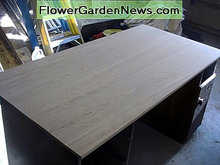 Das Furnier befindet sich auf dem Schreibtisch The veneer is in place on the desk