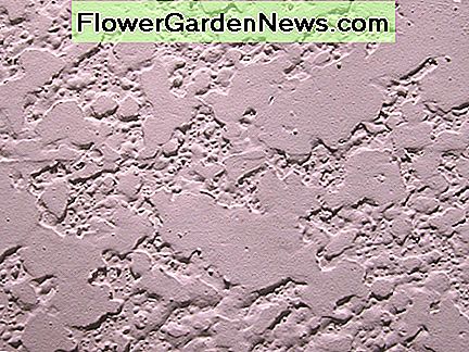 Stuckputz Stucco Plaster