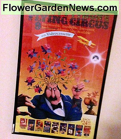 FĂŒr dieses Poster verwendete mein Sohn aufgesetzte NĂ€gel zum AufhĂ€ngen. Der Rahmen hatte bereits einen SĂ€gezahnhaken auf der RĂŒckseite. For this poster my son used stick-on nails for hanging. The frame already had a saw-tooth hook on the back.
