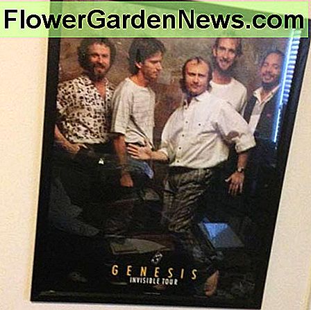 Es ist einfach, ein eigenes Poster zu gestalten. It's easy to frame your own poster.